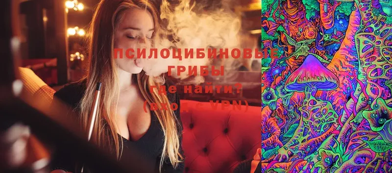 Галлюциногенные грибы Magic Shrooms  купить наркотики цена  Белая Холуница 